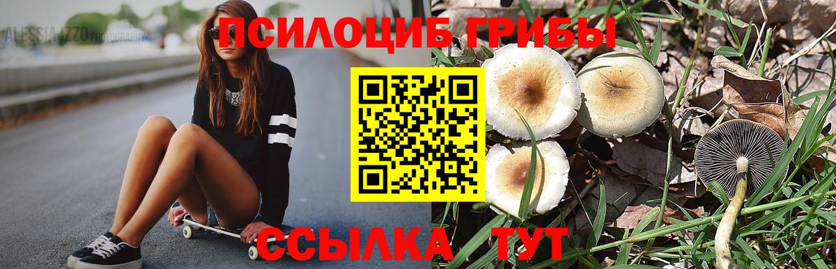 Кыштым  Галлюциногенные грибы прущие грибы  цены   Вход с VPN 