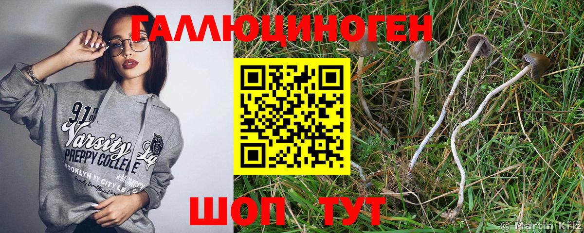 Галлюциногенные грибы прущие грибы Кыштым